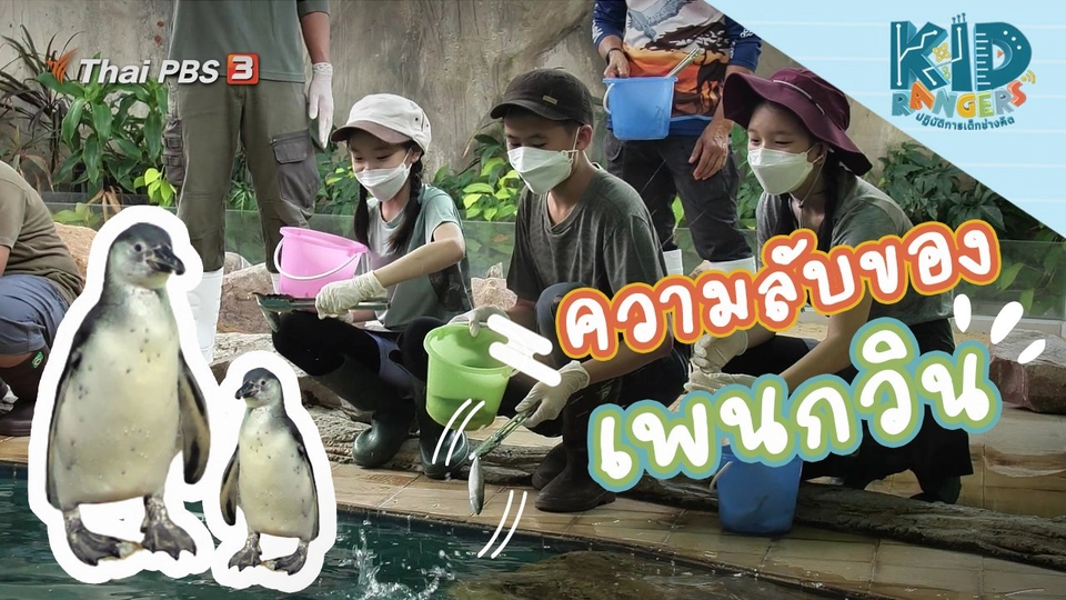 ความลับของเพนกวิน