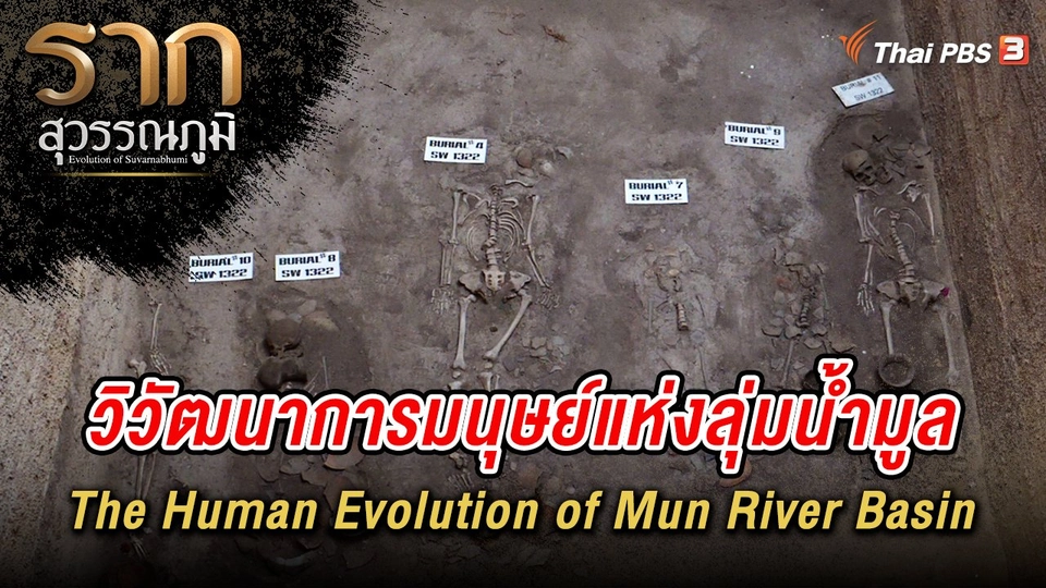 วิวัฒนาการมนุษย์แห่งลุ่มน้ำมูล The Human Evolution of Mun River Basin