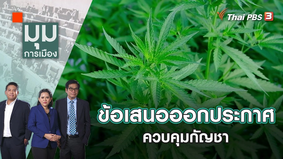 ข้อเสนอออกประกาศควบคุมกัญชา | มุมการเมือง | 16 มิ.ย. 65