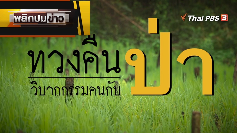 ทวงคืนป่า วิบากกรรมคนกับป่า