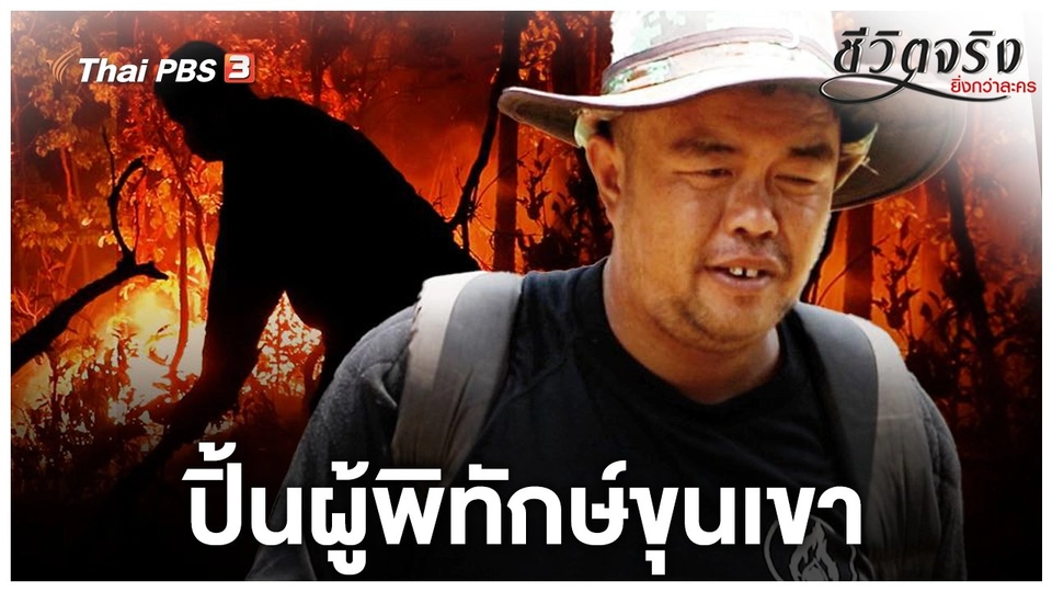 ปิ้นผู้พิทักษ์ขุนเขา