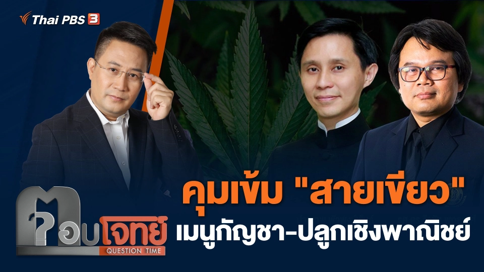 คุมเข้ม "สายเขียว" เมนูกัญชา - ปลูกเชิงพาณิชย์