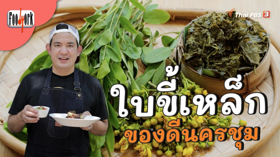 ใบขี้เหล็กของดีนครชุม