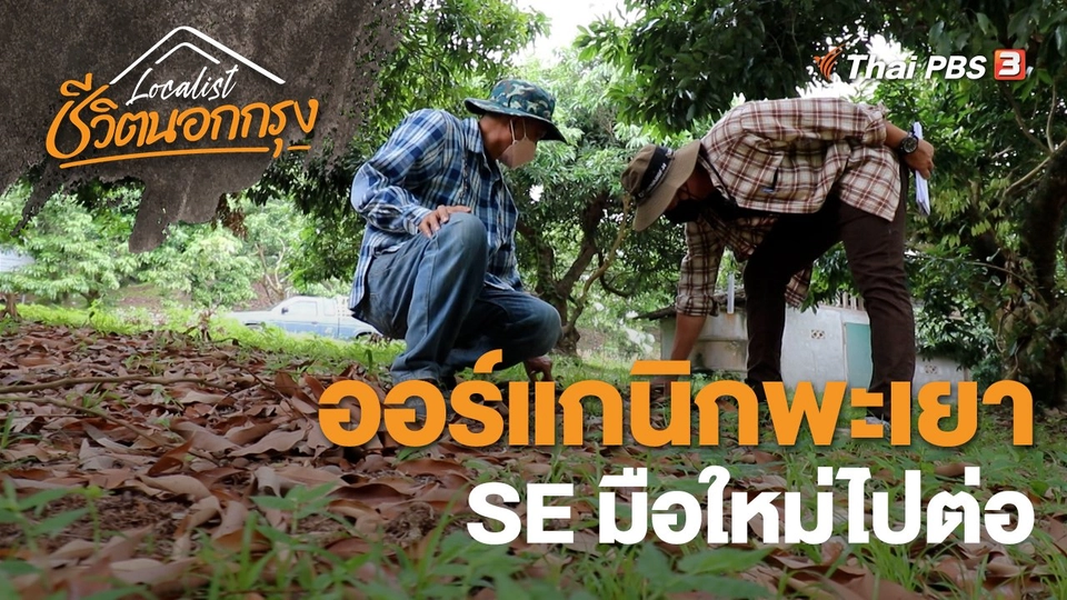 ออร์แกนิกพะเยา SE มือใหม่ไปต่อ