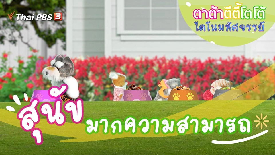 สุนัขมากความสามารถ