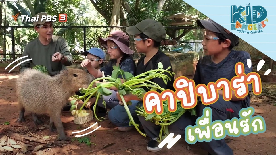 คาปิบาร่าเพื่อนรัก