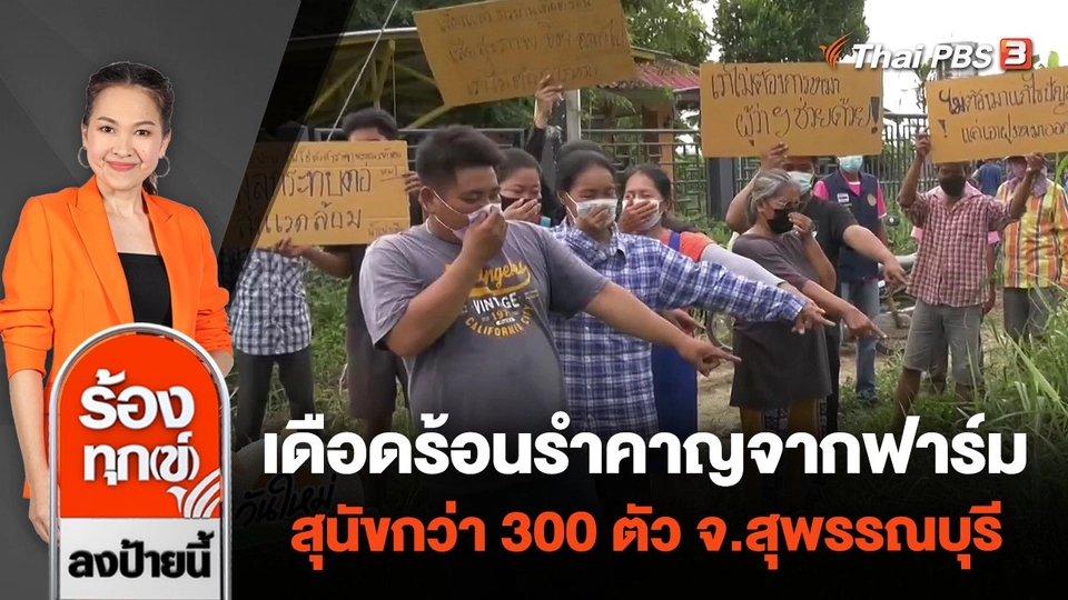 เดือดร้อนรำคาญจากฟาร์มสุนัขกว่า 300 ตัว จ.สุพรรณบุรี