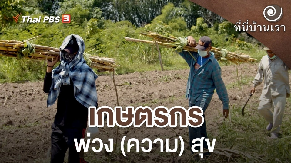 เกษตรกรพ่วง (ความ) สุข