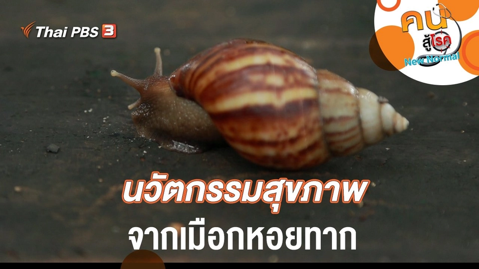 นวัตกรรมสุขภาพ จากเมือกหอยทาก