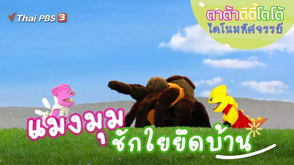 แมงมุมชักใยยึดบ้าน