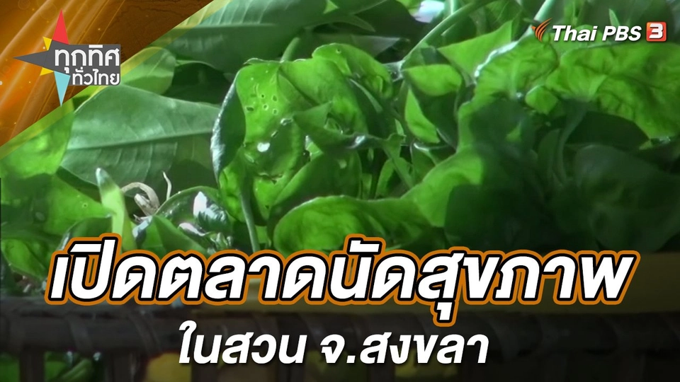 เปิดตลาดนัดสุขภาพในสวน จ.สงขลา