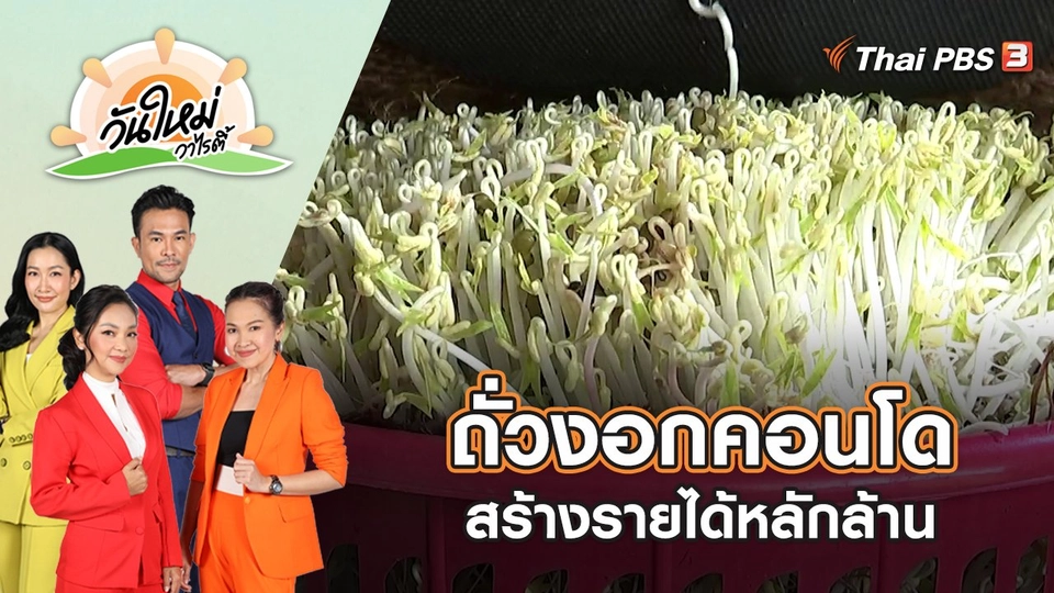 ถั่วงอกคอนโด สร้างรายได้หลักล้าน | วันใหม่วาไรตี้ | 19 ก.ย. 65