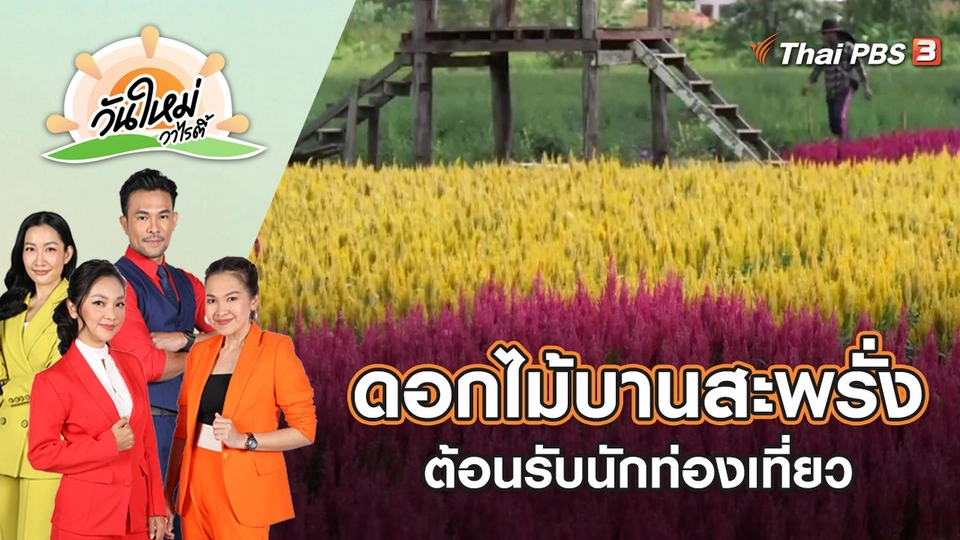 สีสันดอกไม้บานสะพรั่งหลายแสนดอกพร้อมต้อนรับนักท่องเที่ยว | วันใหม่วาไรตี้ | 29 ก.ย. 65