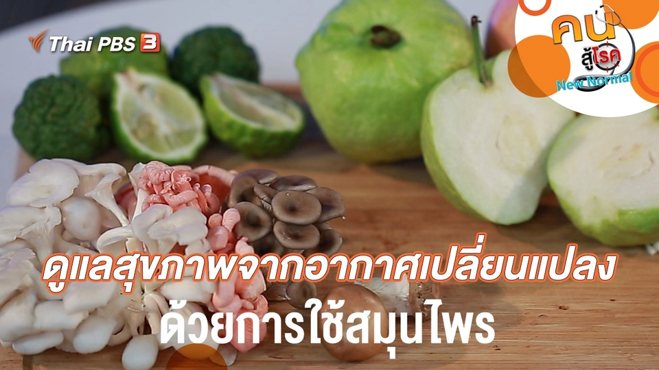 ดูแลสุขภาพจากอากาศเปลี่ยนแปลงด้วยการใช้สมุนไพร