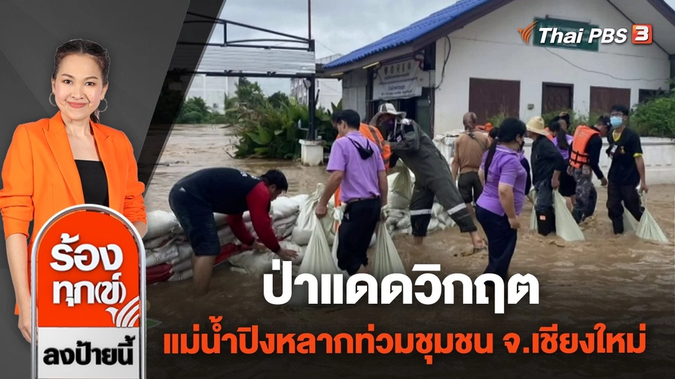 ป่าแดดวิกฤต แม่น้ำปิงหลากท่วมชุมชน จ.เชียงใหม่