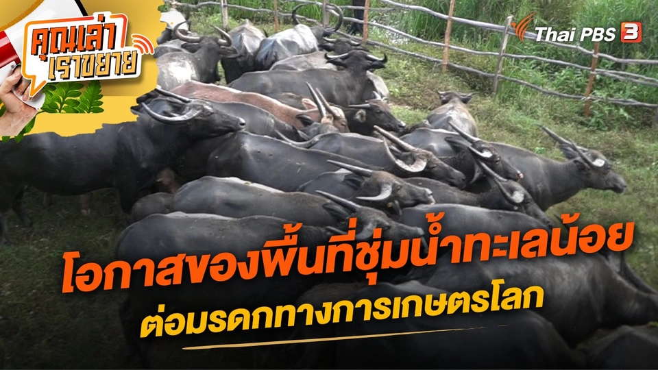 โอกาสของพื้นที่ชุ่มน้ำทะเลน้อยต่อมรดกทางการเกษตรโลก