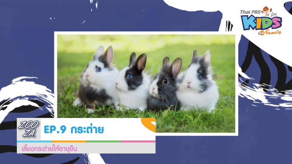 เลี้ยงกระต่ายให้อายุยืน