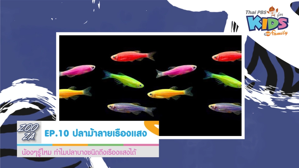 ปลาม้าลายเรืองแสง