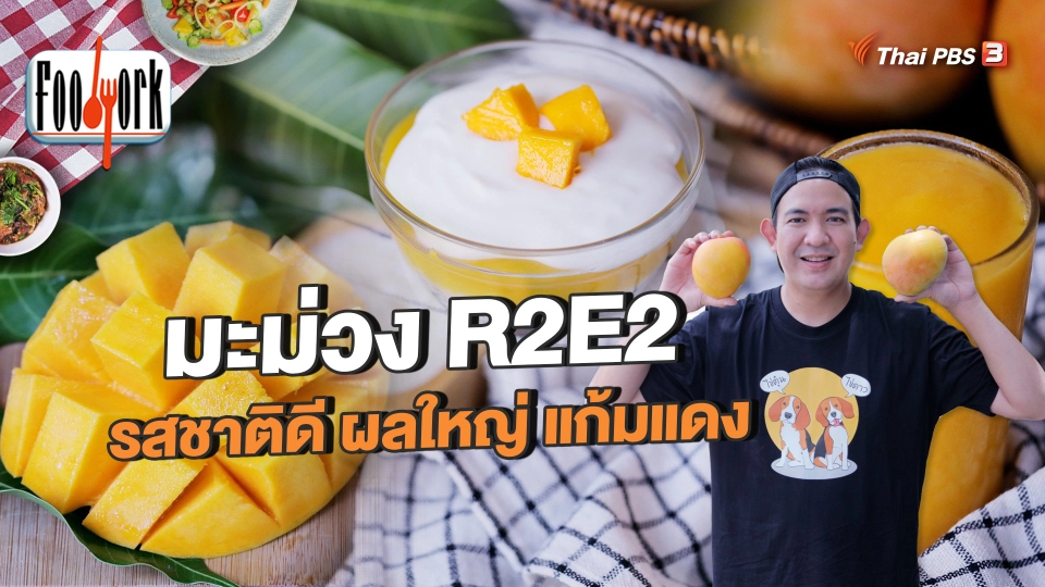 มะม่วง R2E2 รสชาติดี ผลใหญ่ แก้มแดง