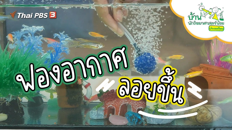 ฟองอากาศลอยขึ้น