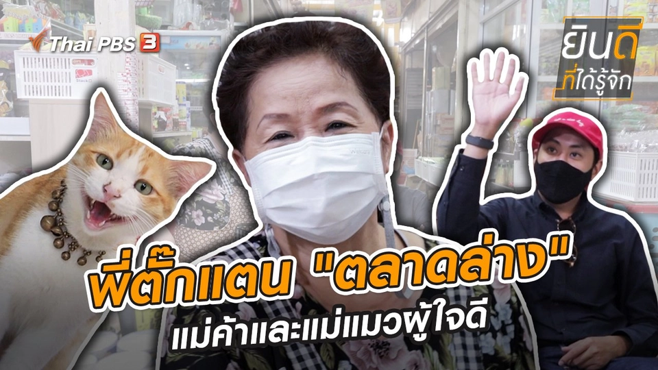 พี่ตั๊กแตน "ตลาดล่าง" แม่ค้าและแม่แมวผู้ใจดี