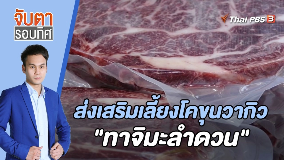 ส่งเสริมเลี้ยงโคขุนวากิว "ทาจิมะลำดวน" | 27 ต.ค. 65