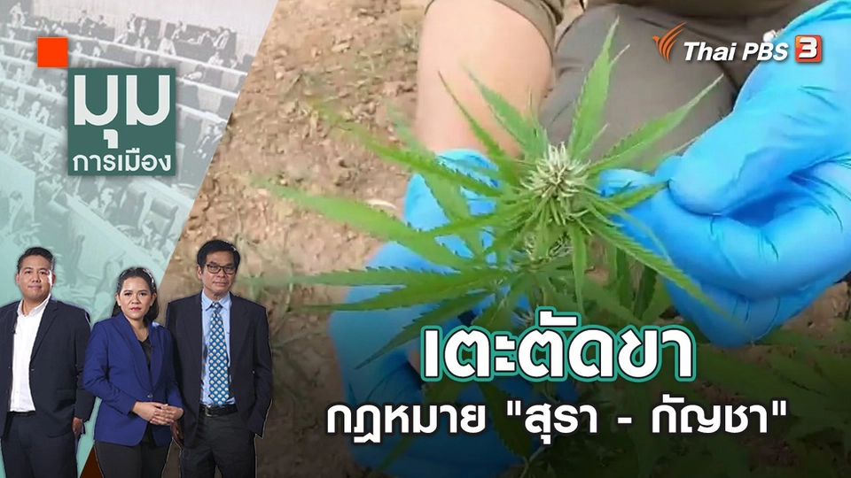 เตะตัดขา กฎหมาย "สุรา - กัญชา" | มุมการเมือง | 27 ต.ค. 65