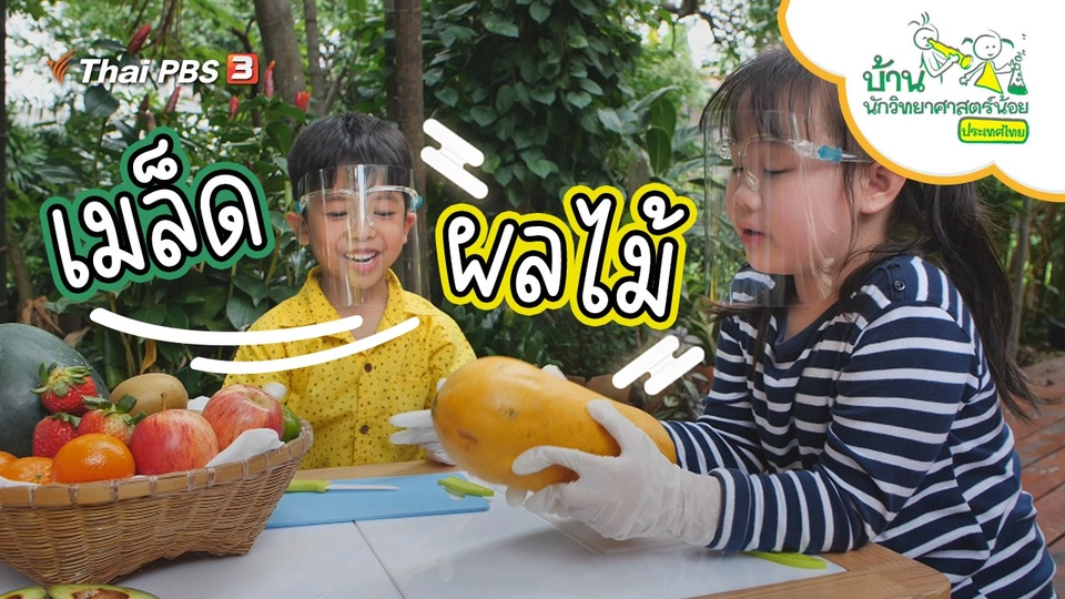 เมล็ดผลไม้