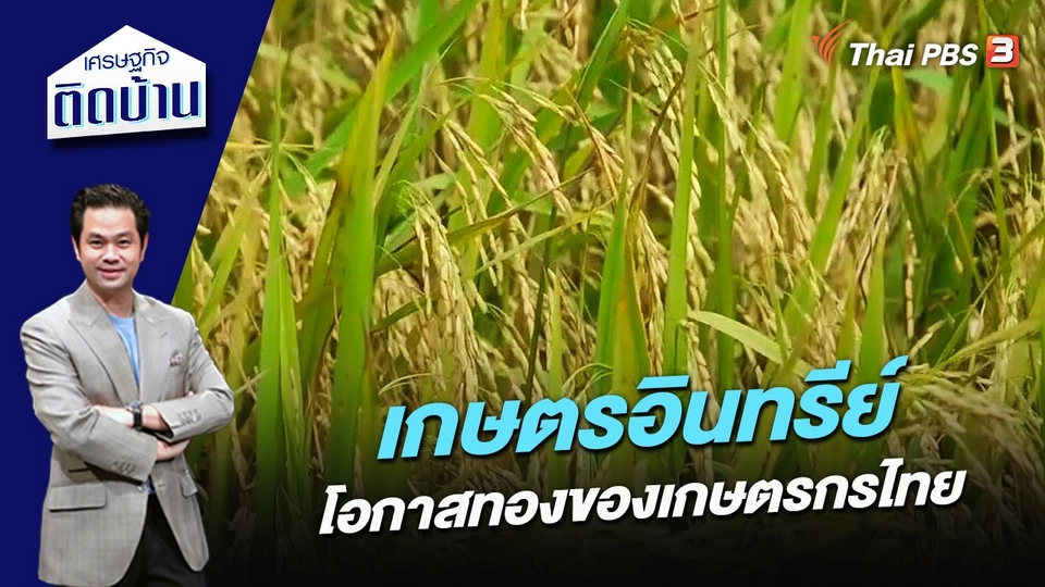 เกษตรอินทรีย์ โอกาสทองของเกษตรกรไทย