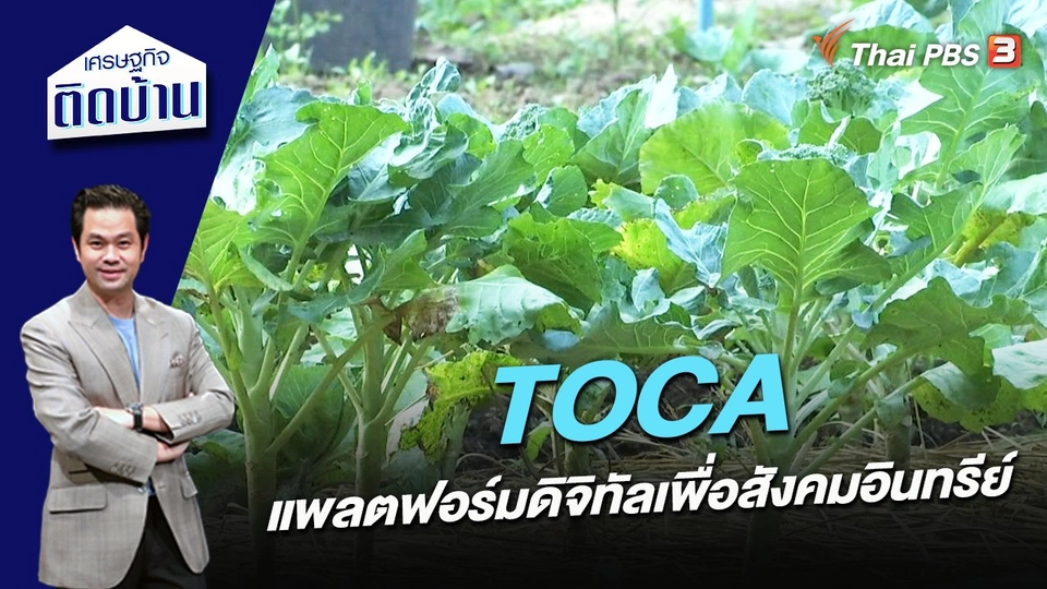 TOCA แพลตฟอร์มดิจิทัลเพื่อสังคมอินทรีย์