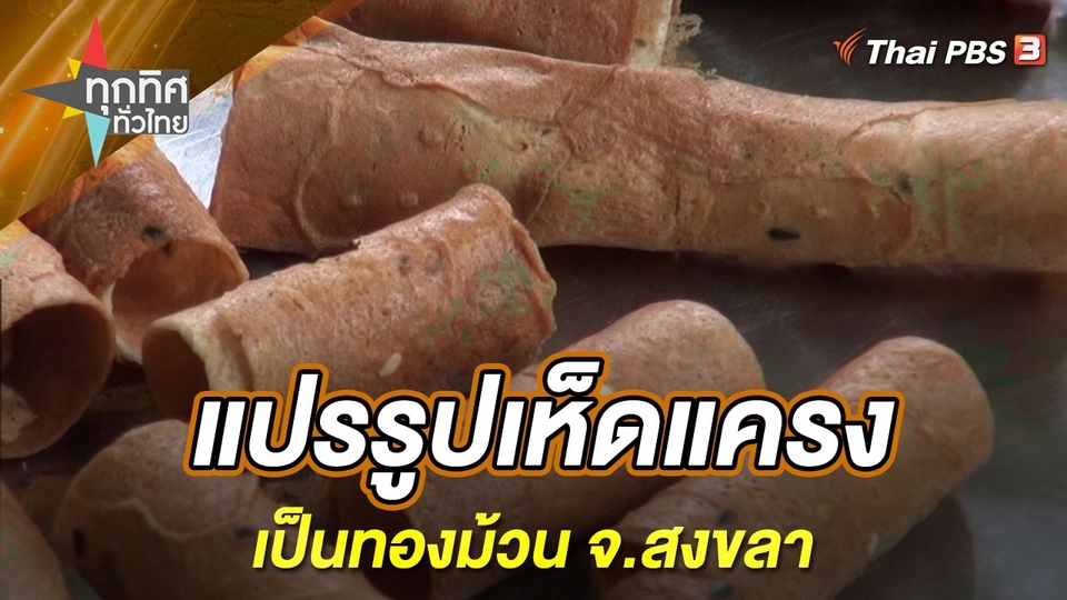 แปรรูปเห็ดแครงเป็นทองม้วน จ.สงขลา