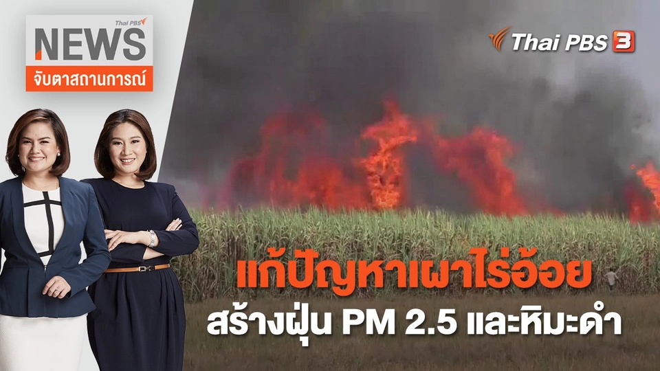 แก้ปัญหาเผาไร่อ้อยสร้างฝุ่น PM 2.5 และหิมะดำ | จับตาสถานการณ์ | 14 พ.ย. 65