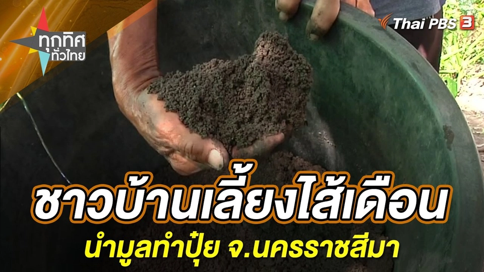 ชาวบ้านเลี้ยงไส้เดือนนำมูลทำปุ๋ย จ.นครราชสีมา