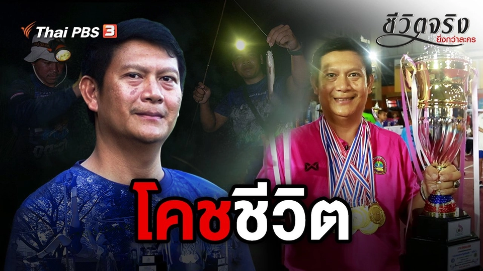 โคชชีวิต