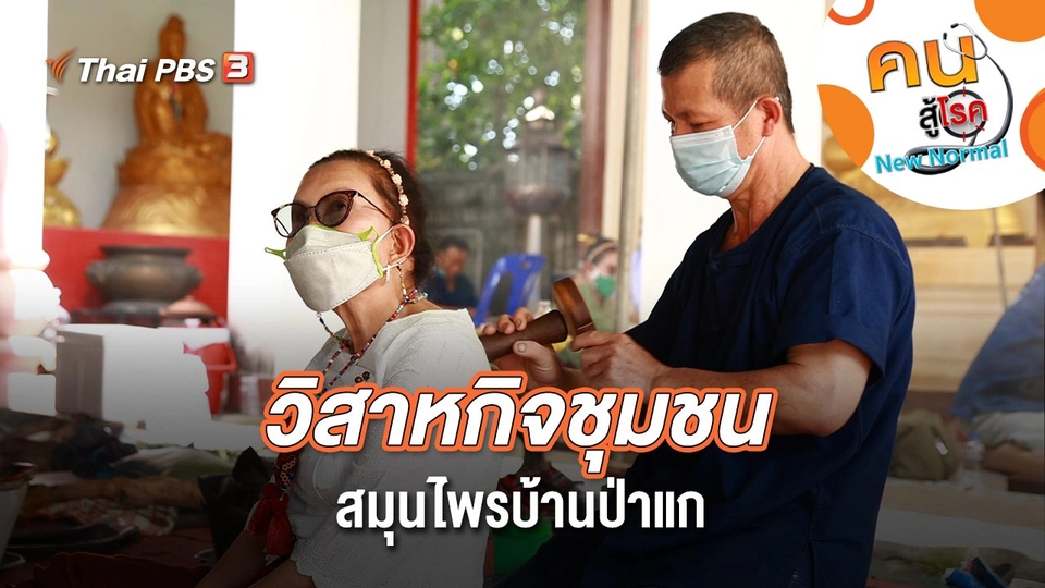 วิสาหกิจชุมชนสมุนไพรบ้านป่าแก