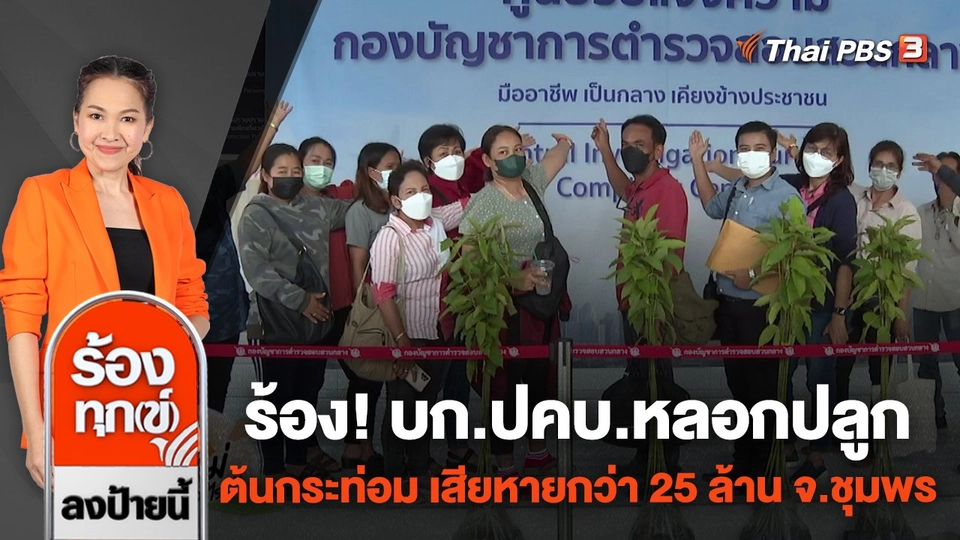 ร้อง! บก.ปคบ.หลอกปลูกต้นกระท่อม เสียหายกว่า 25 ล้าน จ.ชุมพร