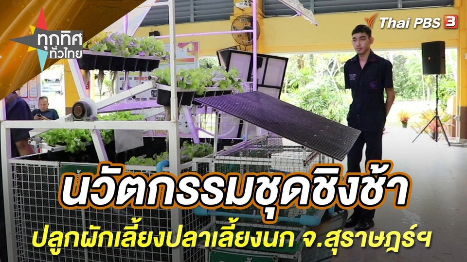 นวัตกรรมชุดชิงช้าปลูกผักเลี้ยงปลาเลี้ยงนก จ.สุราษฎร์ฯ