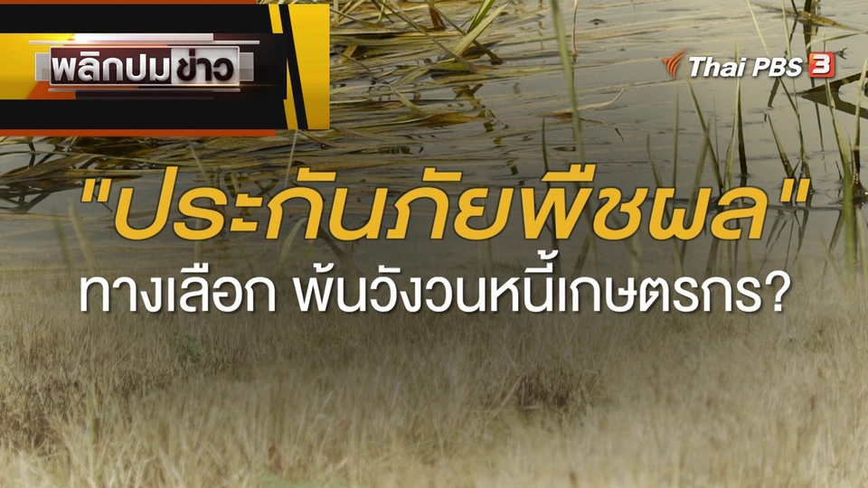ประกันภัยพืชผล ทางเลือก พ้นวังวนหนี้เกษตรกร ?
