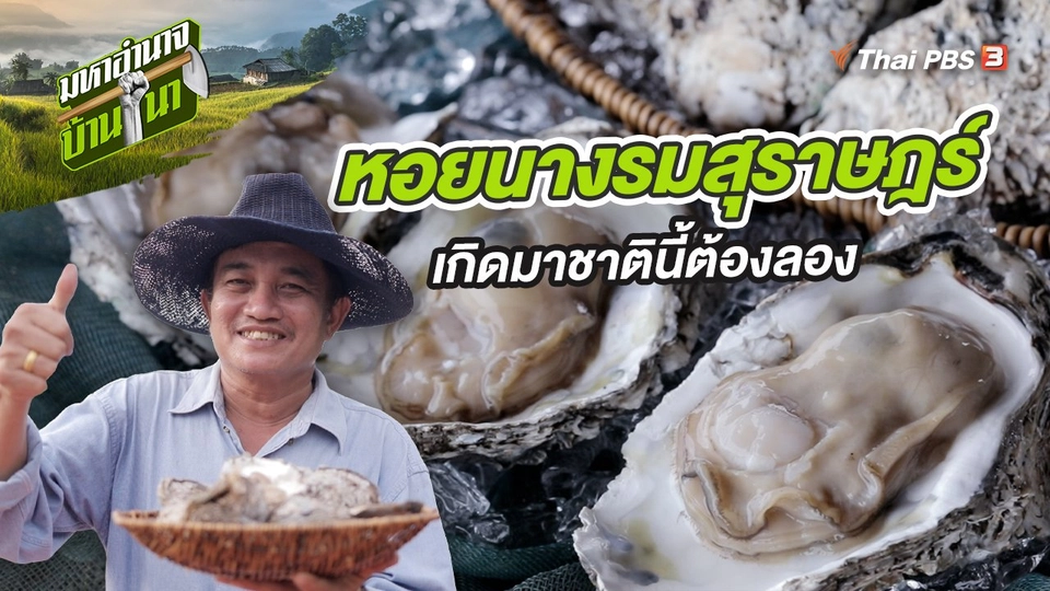 หอยนางรมสุราษฎร์ เกิดมาชาตินี้ต้องลอง