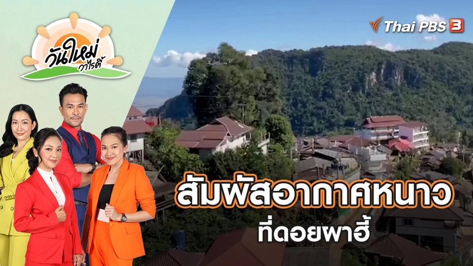 นักท่องเที่ยวแห่สัมผัสอากาศหนาว ที่ดอยผาฮี้ | วันใหม่วาไรตี้ | 25 พ.ย. 65