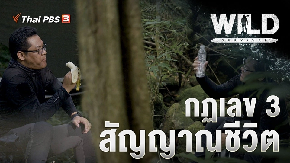 กฏเลข 3 สัญญาณชีวิต