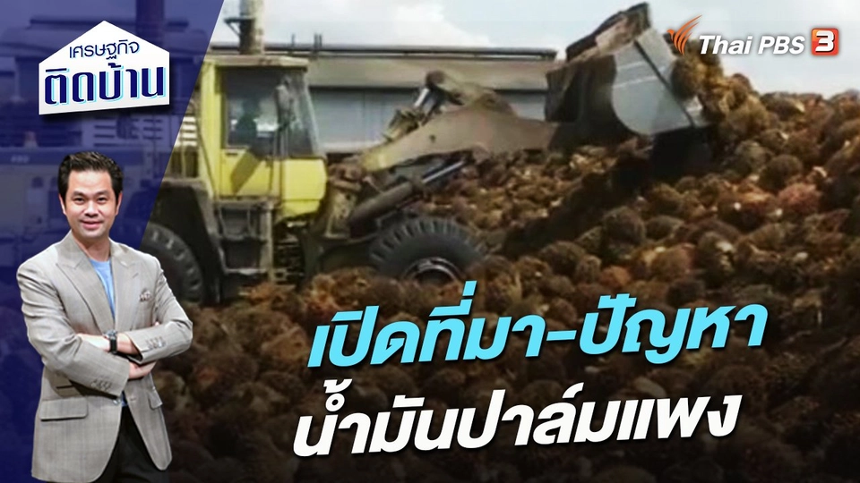 เปิดที่มา-ปัญหาน้ำมันปาล์มแพง