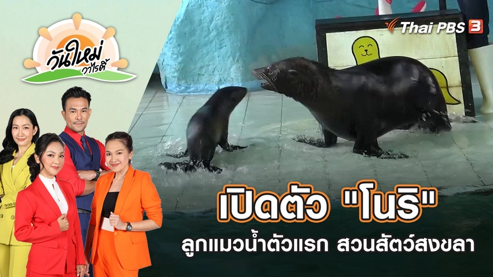 ​เปิดตัว "โนริ" ลูกแมวน้ำตัวแรกของสวนสัตว์สงขลา | วันใหม่วาไรตี้ | 15 ก.ค. 65