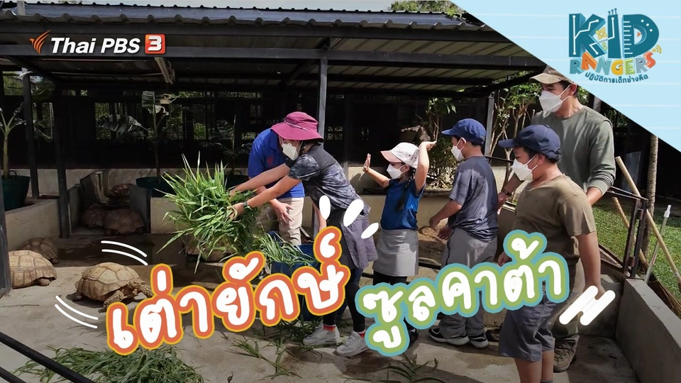 เต่ายักษ์