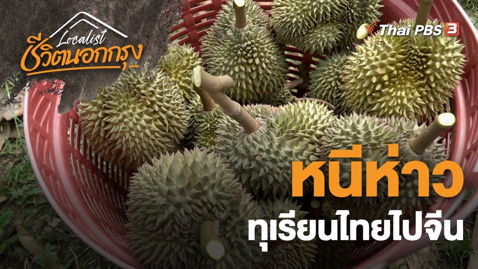 หนีห่าว ทุเรียนไทยไปจีน