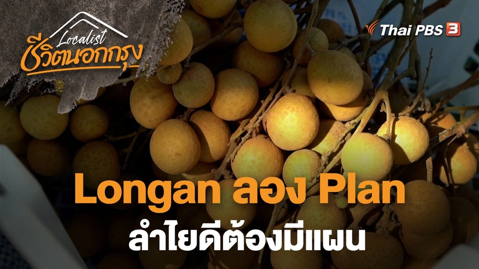 Longan ลอง Plan ลำไยดีต้องมีแผน