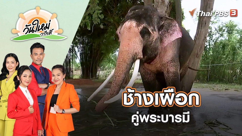 ช้างเผือกคู่พระบารมี | วันใหม่วาไรตี้ | 28 ก.ค. 65