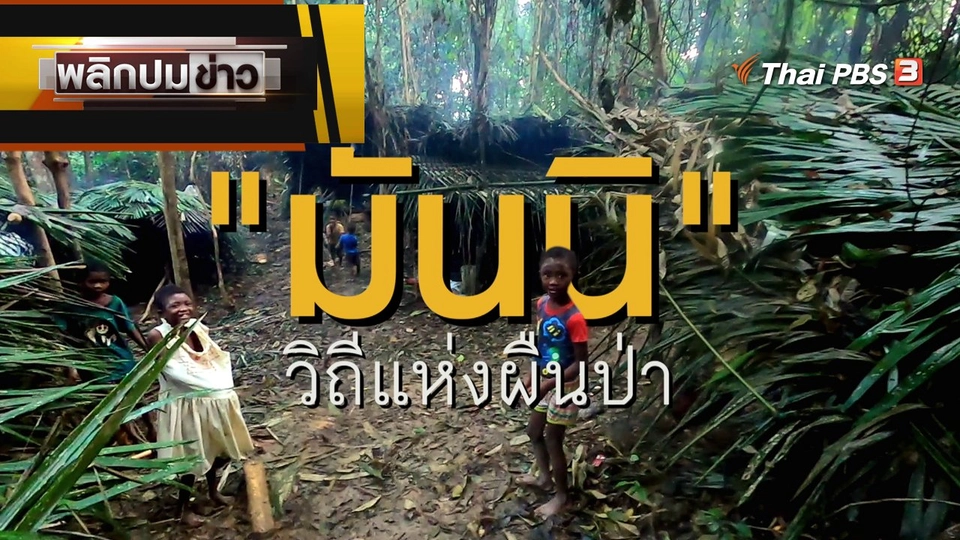 "มันนิ" วิถีแห่งผืนป่า