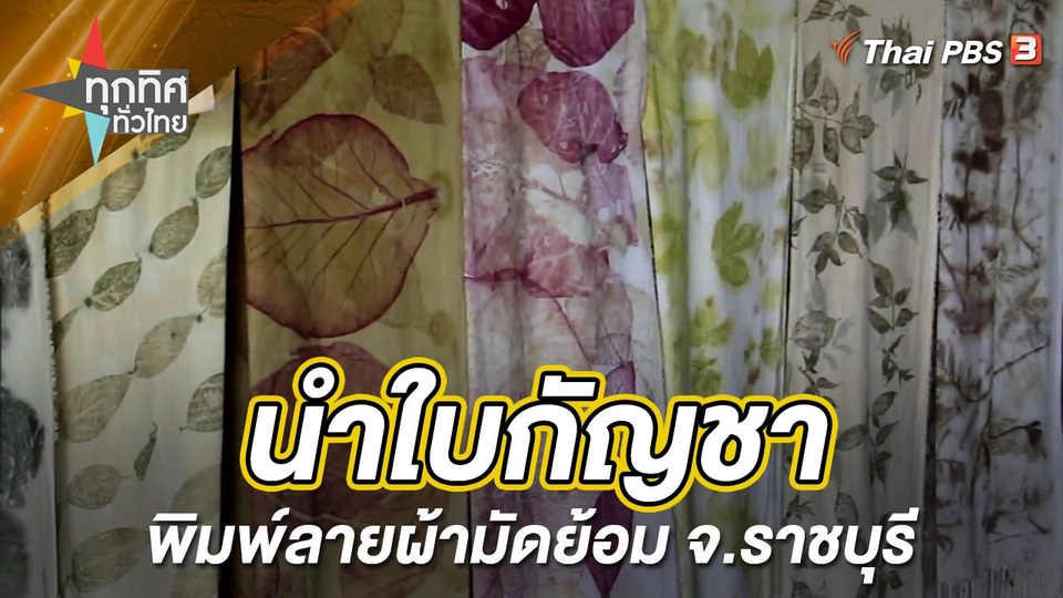 นำใบกัญชาพิมพ์ลายผ้ามัดย้อม จ.ราชบุรี