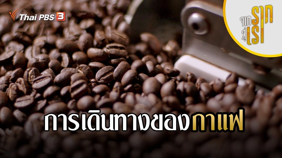 การเดินทางของกาแฟ